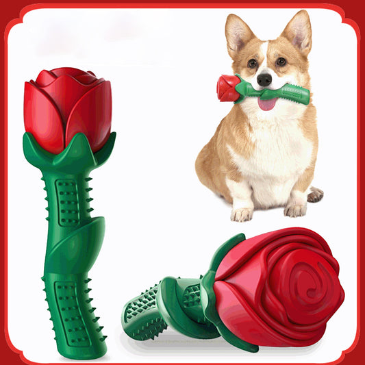 Juguete Mordedor Resistente para Cachorros - Palo Masticable Dental