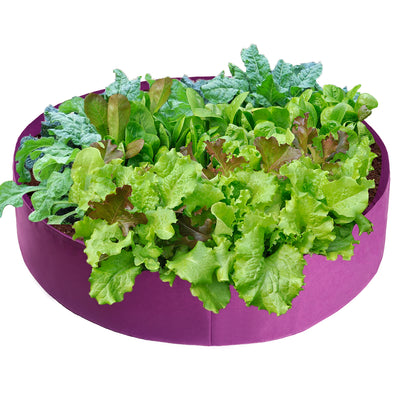 Bolsa de Cultivo de Fieltro para Flores y Hortalizas - Image 2