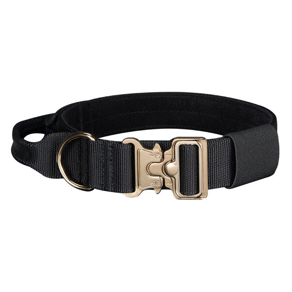 Correa y Collar Premium para Perros Grandes - Sistema de Tracción Resistente