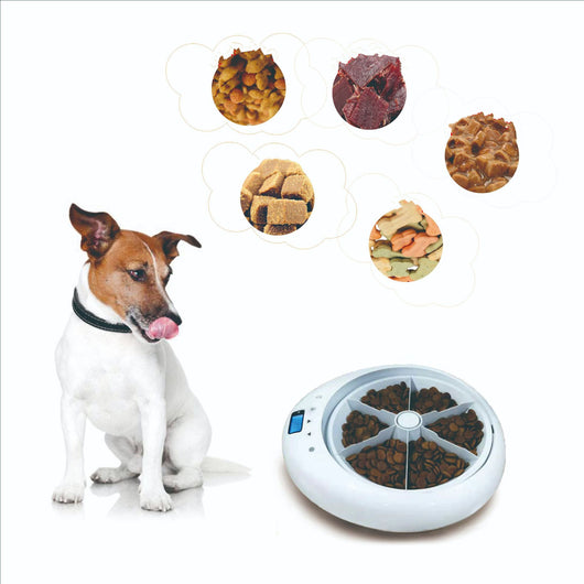 Comedero Automático Inteligente para Mascotas con 6 Compartimentos y Recordatorio de Voz - Image 4