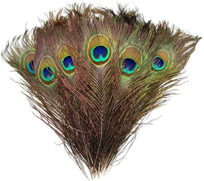 Plumas de Pavo Real con Ojos Naturales 2-6 cm - Image 8