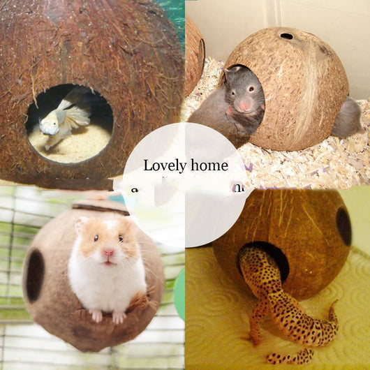 Natural coconut shell bird feeder with multiple openings, suspended by a rope, with small birds inside and flying. - Image 7