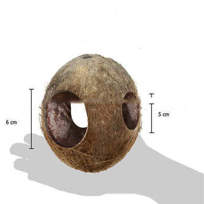 Natural coconut shell bird feeder with multiple openings, suspended by a rope, with small birds inside and flying. - Image 8