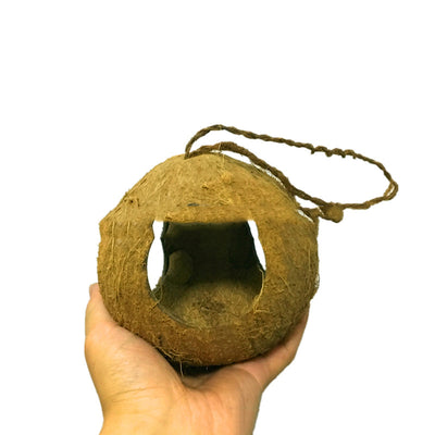 Natural coconut shell bird feeder with multiple openings, suspended by a rope, with small birds inside and flying.