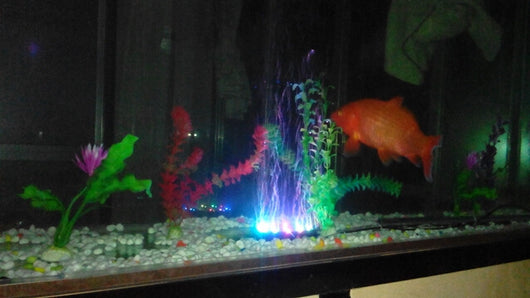 Luz LED Sumergible Multicolor para Acuario - 7 Colores Dinámicos - Image 5
