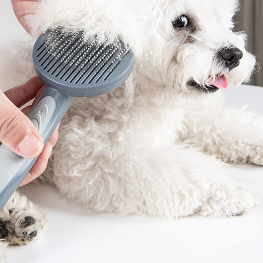 Cepillo Deslanador Profesional para Gatos y Perros Pequeños - Elimina Pelaje Fácilmente - Image 11