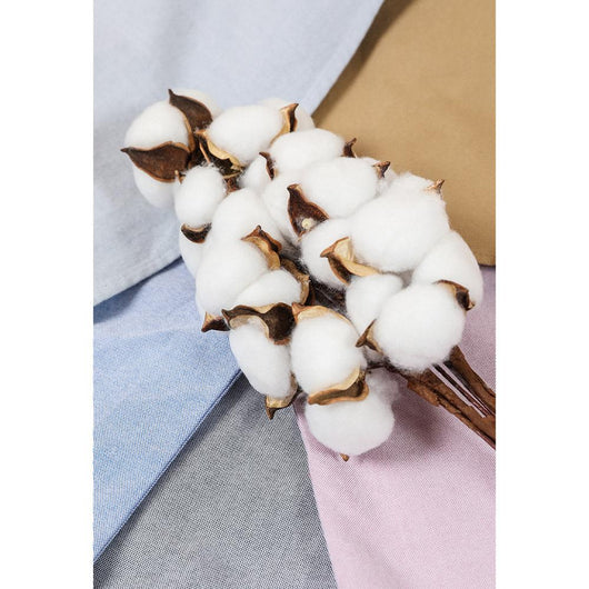 Camisa Oxford de Algodón para Hombre - Diseño Primavera - Image 27