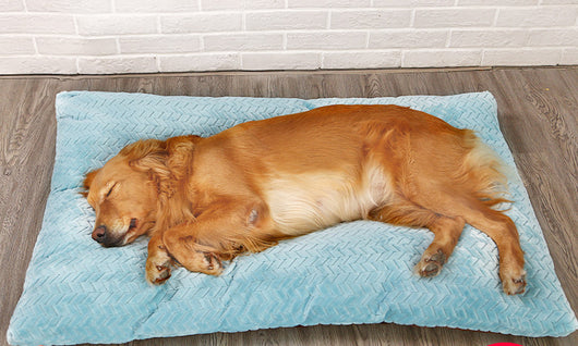 Cama Térmica Acolchada para Perros - Base Quilted Disponible en 4 Tamaños - Image 7