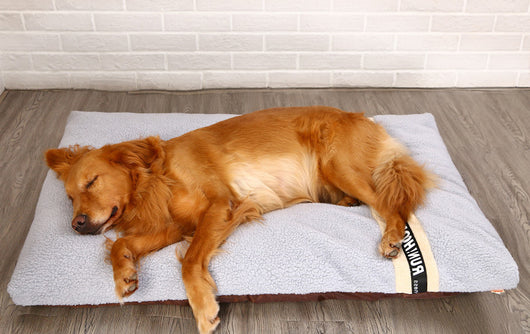 Cama Térmica Acolchada para Perros - Base Quilted Disponible en 4 Tamaños - Image 8