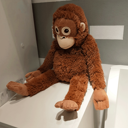 Peluche Orangután Bebé - Amiguito Reconfortante para Dormir - Image 12