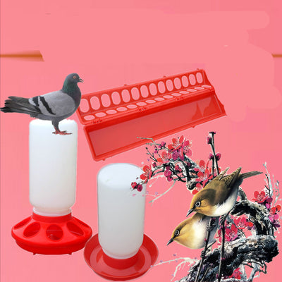 Bebedero Automático para Palomas y Aves - Dispensador de Agua Inteligente - Image 12