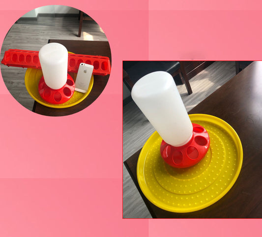 Bebedero Automático para Palomas y Aves - Dispensador de Agua Inteligente - Image 2