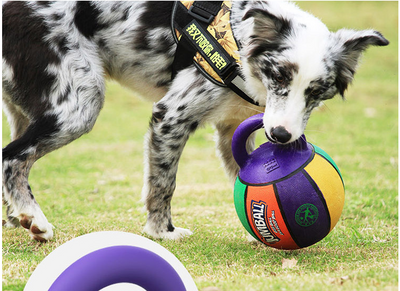 Orange basketball dog toy with a kettlebell-style handle, labeled GiGwi Jumball, for medium to large dogs. - Image 12