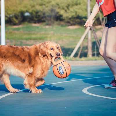 Orange basketball dog toy with a kettlebell-style handle, labeled GiGwi Jumball, for medium to large dogs. - Image 3