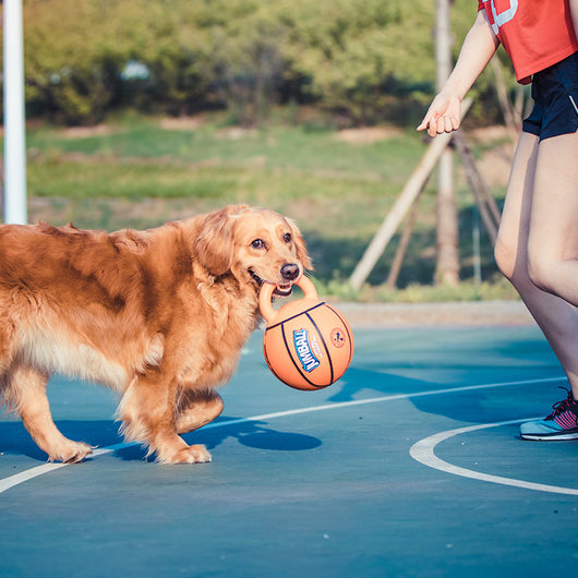Orange basketball dog toy with a kettlebell-style handle, labeled GiGwi Jumball, for medium to large dogs. - Image 3