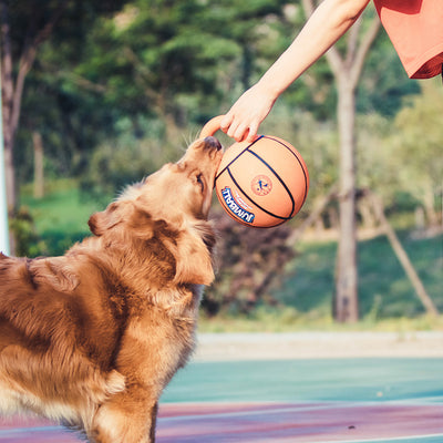 Orange basketball dog toy with a kettlebell-style handle, labeled GiGwi Jumball, for medium to large dogs. - Image 2