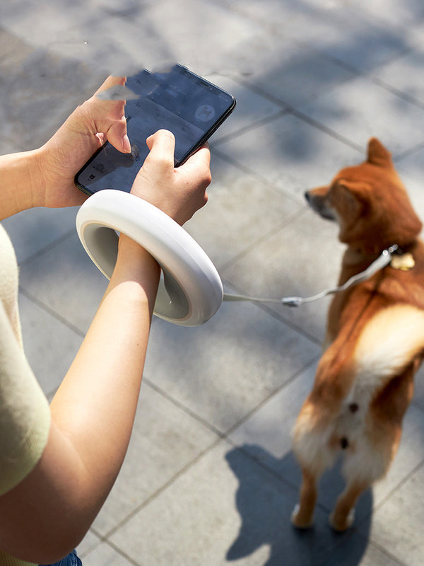 Correa Retráctil UFO para Perros Pequeños y Medianos - Ideal para Paseos Seguros