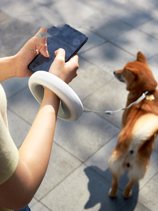Correa Retráctil UFO para Perros Pequeños y Medianos - Ideal para Paseos Seguros