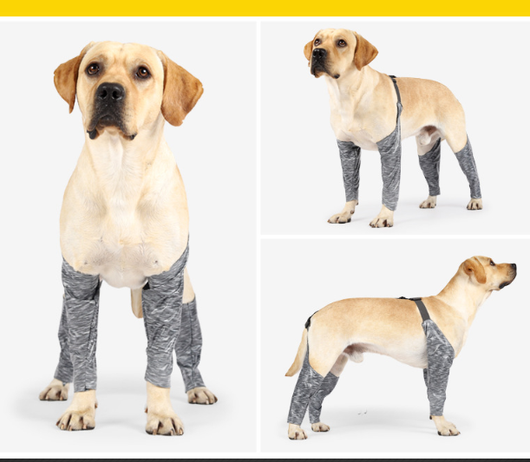 Pantalones Protectores para Perros - Ropa Outdoor de Cuatro Patas - Image 7