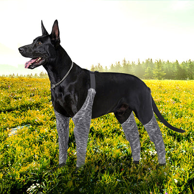 Pantalones Protectores para Perros - Ropa Outdoor de Cuatro Patas - Image 3