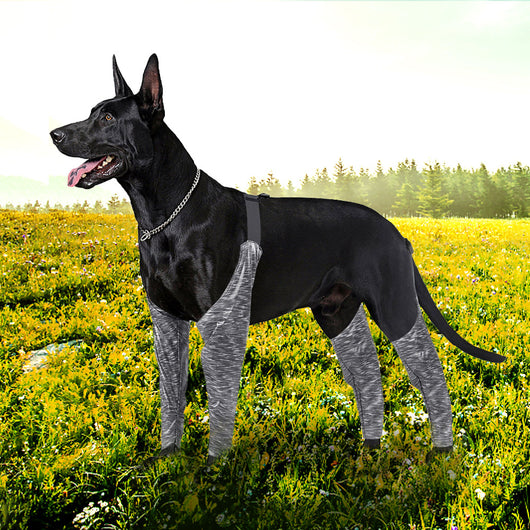 Pantalones Protectores para Perros - Ropa Outdoor de Cuatro Patas - Image 3