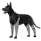 Pantalones Protectores para Perros - Ropa Outdoor de Cuatro Patas