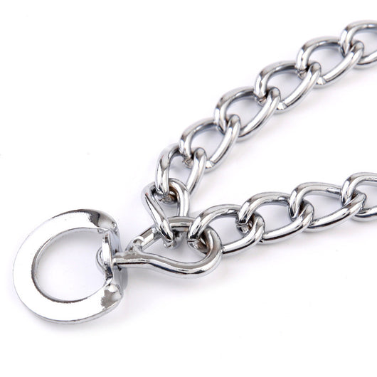 Collar de Entrenamiento Canino con Funda Protectora y Correa - Image 4