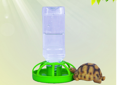 Fuente Automática para Mascotas con Bandeja Elevada - Image 10