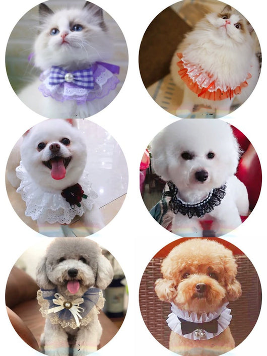 Pañuelo Babero para Mascotas con Collar Bandana, Diseño Encaje y Moño con Campana - Image 12