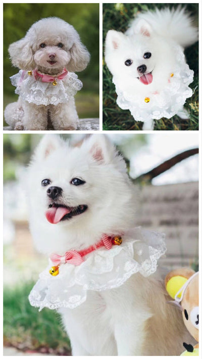 Pañuelo Babero para Mascotas con Collar Bandana, Diseño Encaje y Moño con Campana - Image 16