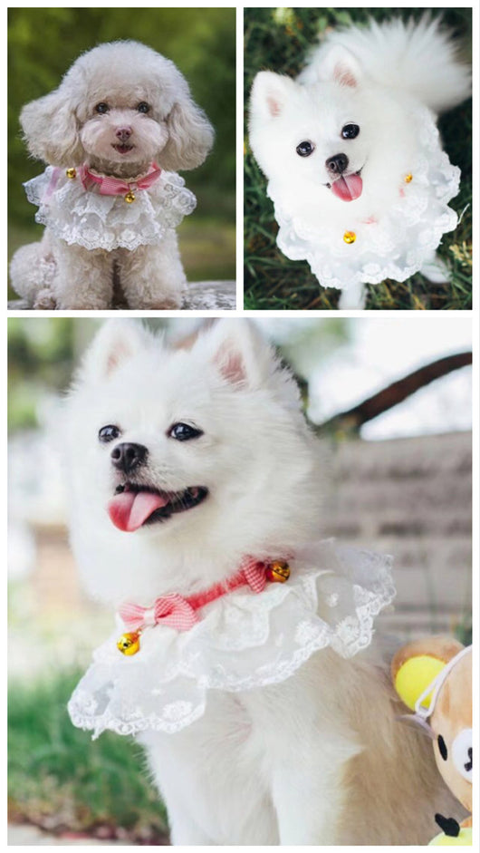Pañuelo Babero para Mascotas con Collar Bandana, Diseño Encaje y Moño con Campana - Image 16