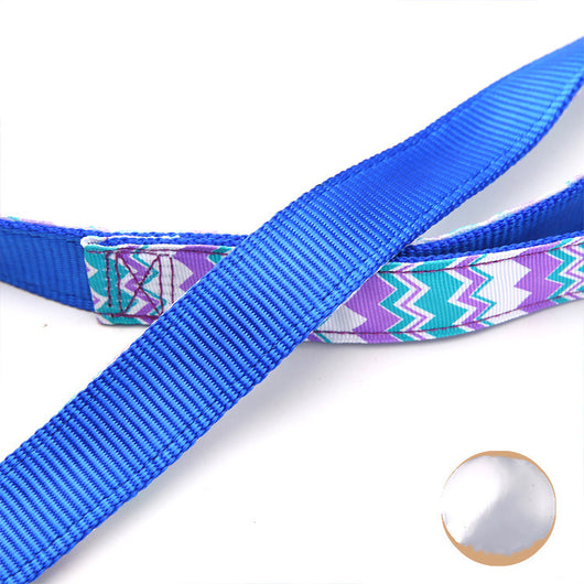 Correa para Perro Nylon Estampado Onda Colorida - Resistente y Cómoda - Image 7