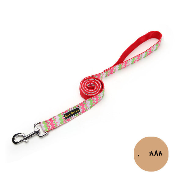 Correa para Perro Nylon Estampado Onda Colorida - Resistente y Cómoda