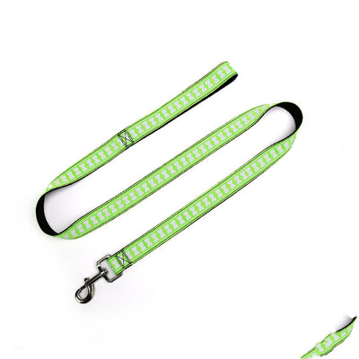 Correa de Paseo para Perros con Hueso de Nylon Resistente - Image 7