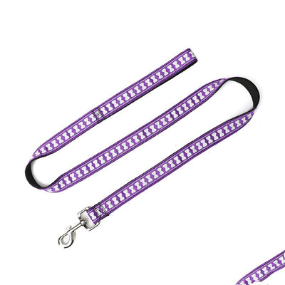 Correa de Paseo para Perros con Hueso de Nylon Resistente - Image 4