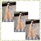 6style