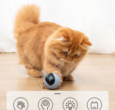 Yellow spherical cat toy with a black face panel, glowing blue eyes and whiskers, and a grey tail. - Image 3
