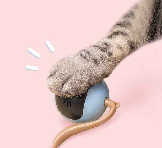 Yellow spherical cat toy with a black face panel, glowing blue eyes and whiskers, and a grey tail. - Image 4