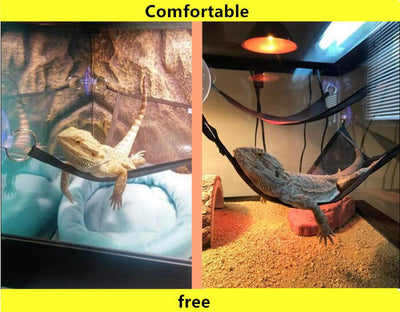 Hamaca para Reptiles - Descanso Cómodo para Lagartos y Serpientes - Image 8