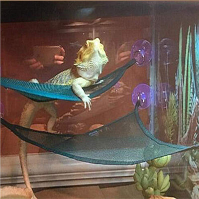 Hamaca para Reptiles - Descanso Cómodo para Lagartos y Serpientes - Image 7