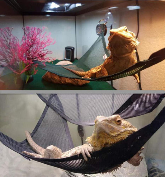 Hamaca para Reptiles - Descanso Cómodo para Lagartos y Serpientes - Image 3