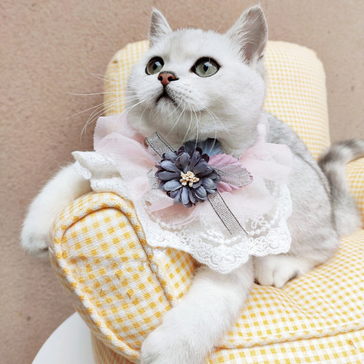 Babero Elegante con Encaje para Perros y Gatos Pequeños y Medianos - Image 13