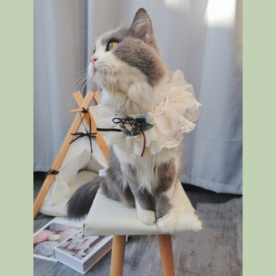 Babero Elegante con Encaje para Perros y Gatos Pequeños y Medianos - Image 8