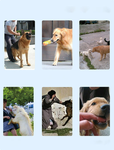 Dispositivo Recargable para Adiestramiento Canino - Corrector de Ladridos - Image 10