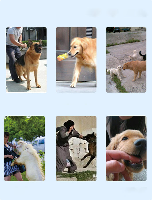Dispositivo Recargable para Adiestramiento Canino - Corrector de Ladridos - Image 10