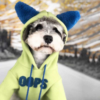 Suéter de Algodón para Perros Pequeños - Ropa de Otoño e Invierno
