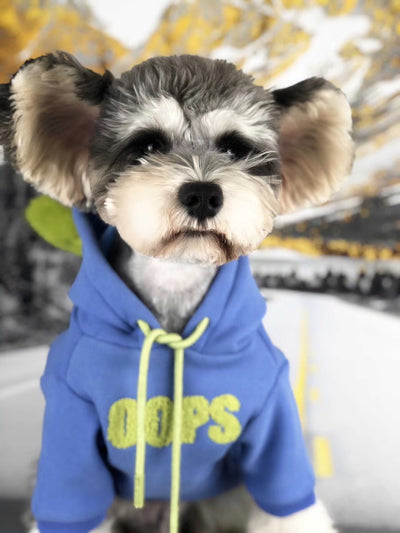 Suéter de Algodón para Perros Pequeños - Ropa de Otoño e Invierno - Image 12
