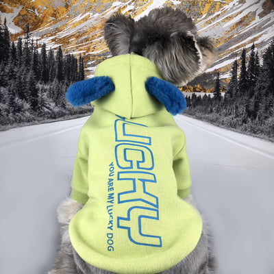 Suéter de Algodón para Perros Pequeños - Ropa de Otoño e Invierno - Image 9