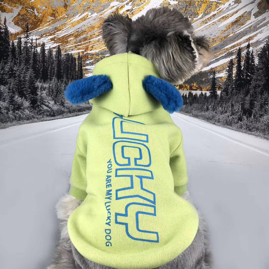 Suéter de Algodón para Perros Pequeños - Ropa de Otoño e Invierno - Image 9