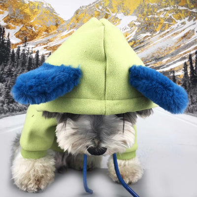 Suéter de Algodón para Perros Pequeños - Ropa de Otoño e Invierno - Image 10